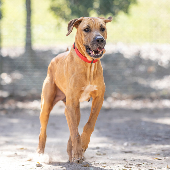 Photo of Dayna (Donya)