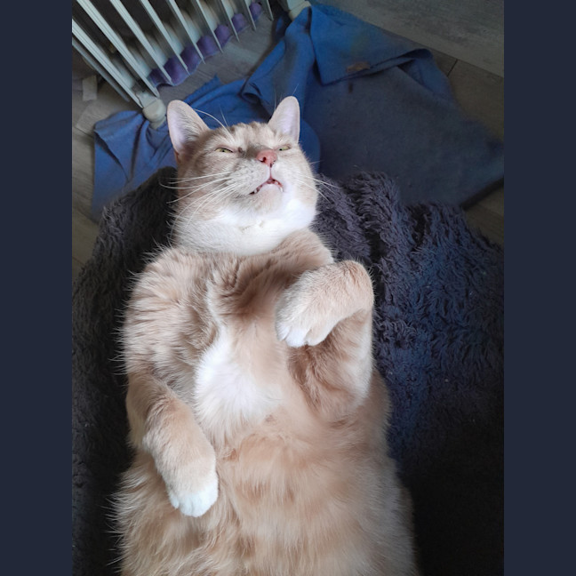 Photo of Elio