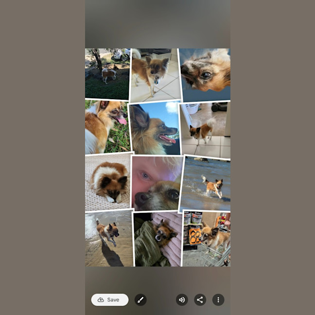 Photo of Duggie