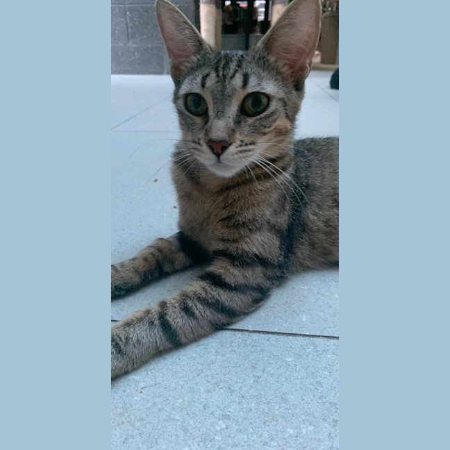 Photo of Ellie (Eleanor)