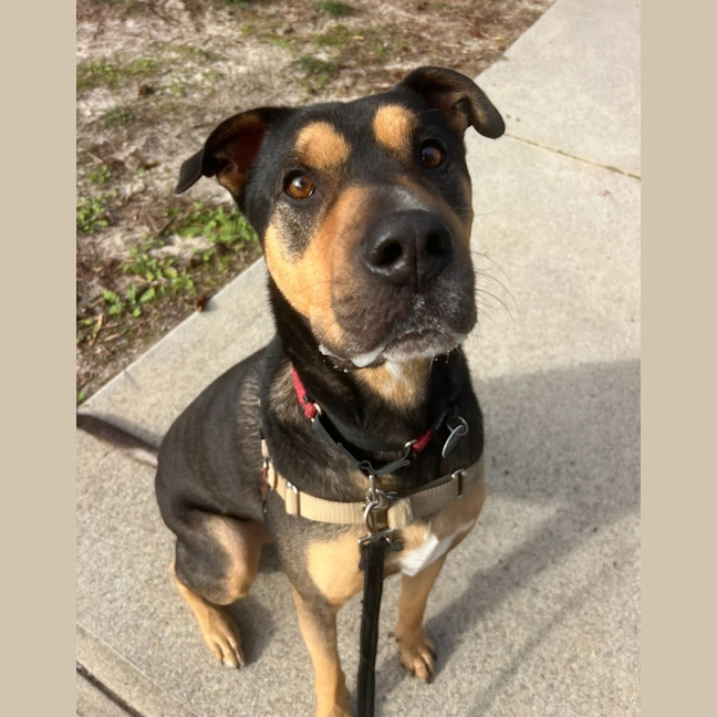 Photo of Tex 