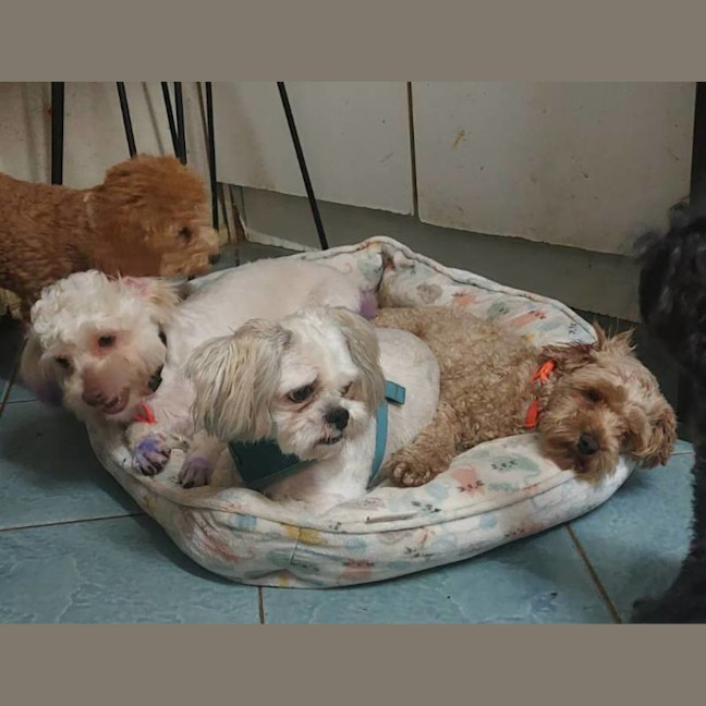 Photo of Beautiful Frieda