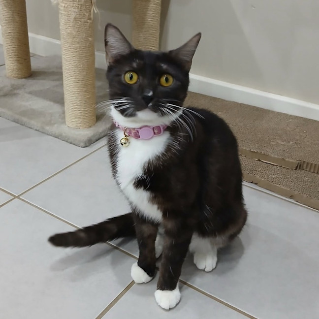Photo of Yuki