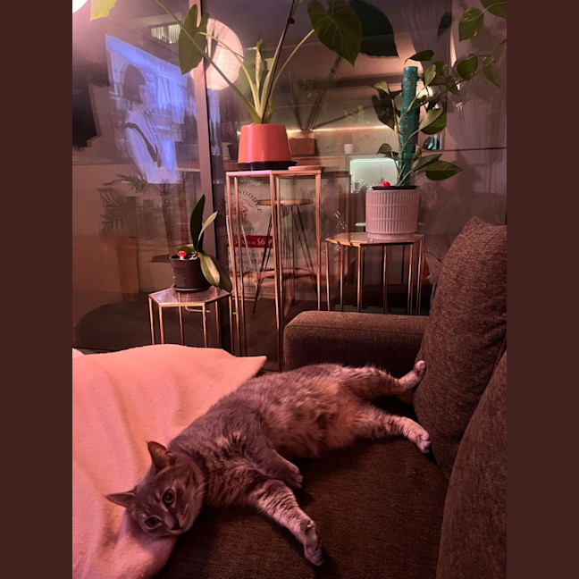 Photo of Tammy