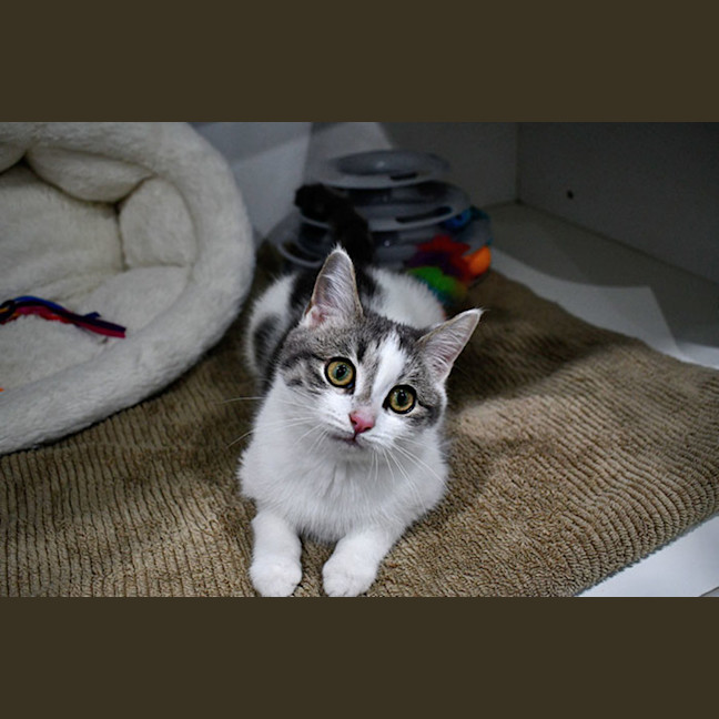 Photo of Kate
