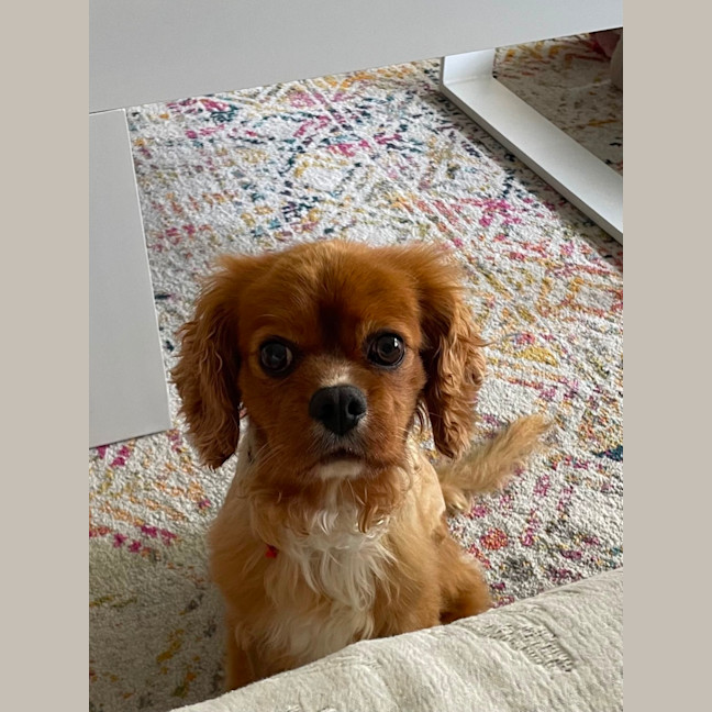 Photo of Beautiful Billy