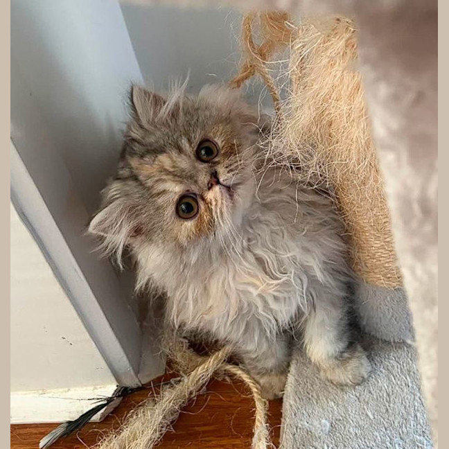Photo of Salt
