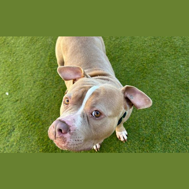 Photo of Winnie
