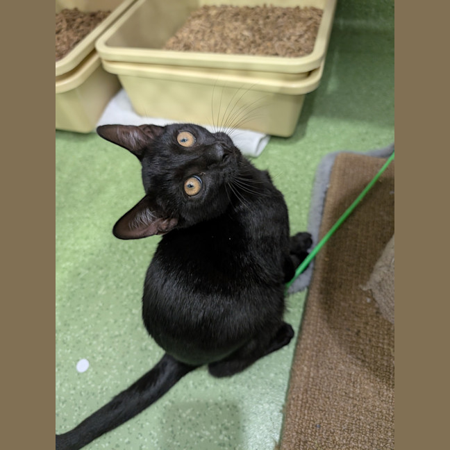 Photo of Ada