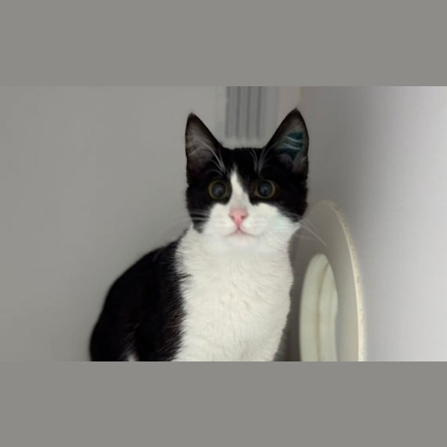 Photo of Monty