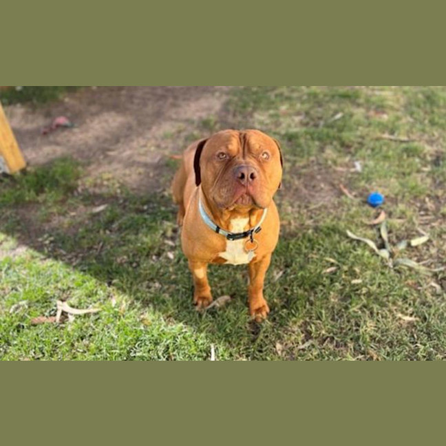 Photo of Cleetus