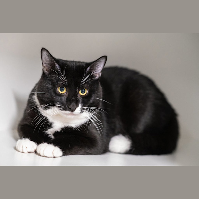 Photo of Squiggle