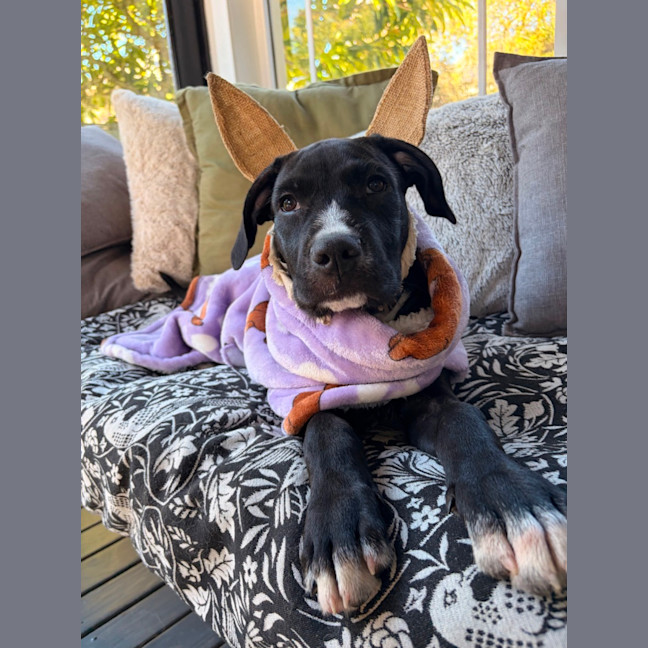 Photo of Max 