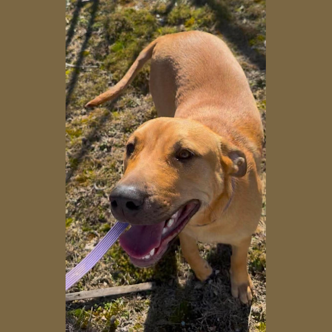 Photo of Winnie 