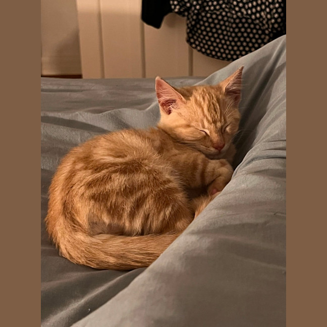Photo of Monty