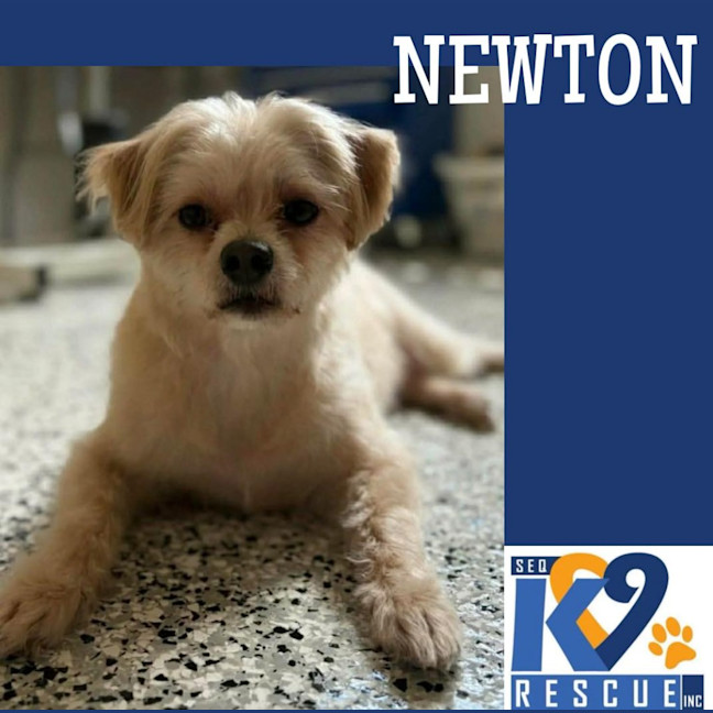 Photo of Newton / Olivia