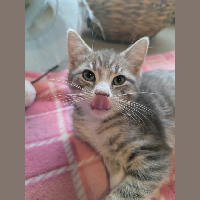 Photo of Isabella Scotty