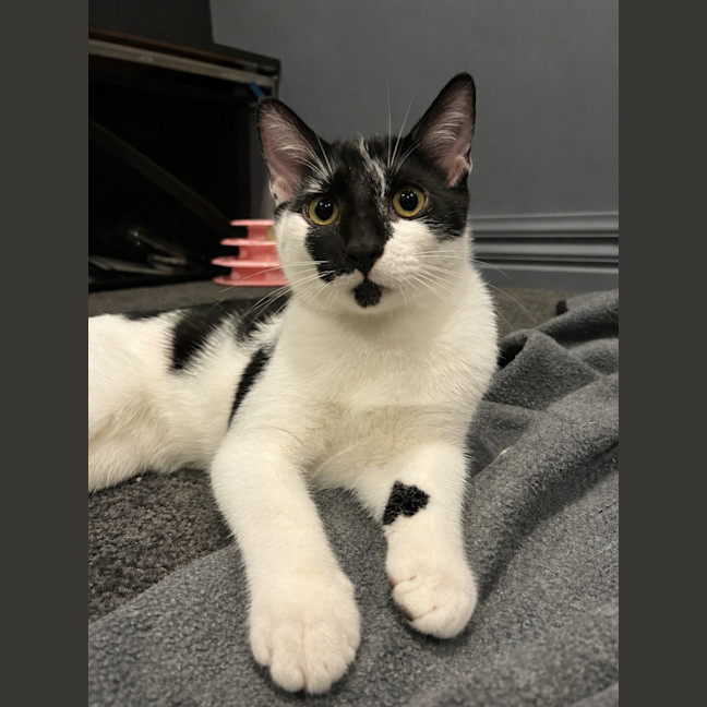 Photo of Precious