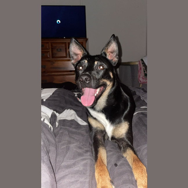 Photo of Chop And Zara