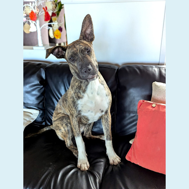 Photo of Mimi