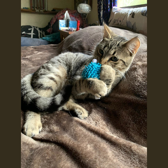 Photo of Archer
