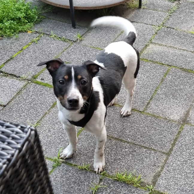 Photo of Rostik