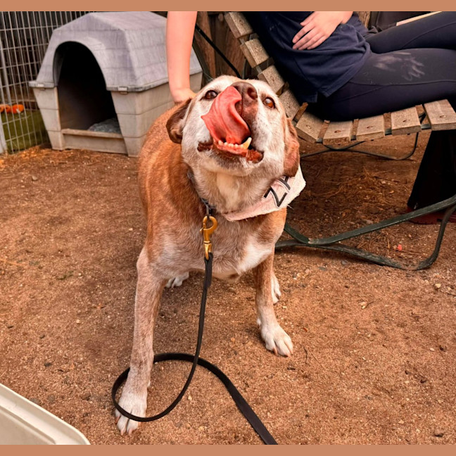 Photo of Zarleigh (66002)