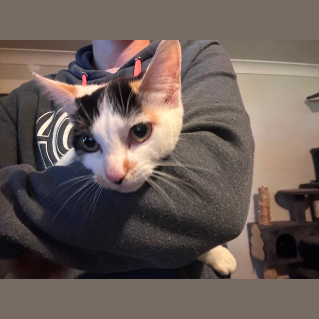 Photo of Samara 🌹