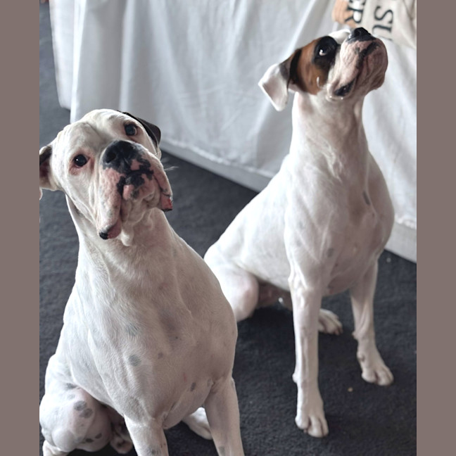 Photo of Rico And Mamacita