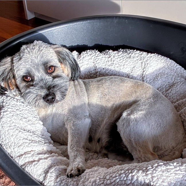 Photo of Maggie