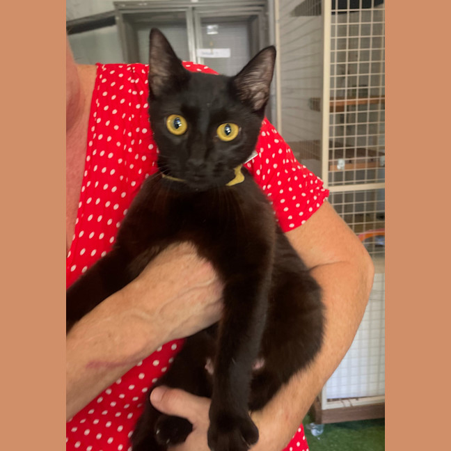 Photo of Marge (With Homer)