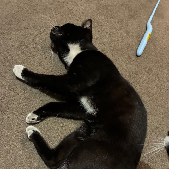 Photo of Xander
