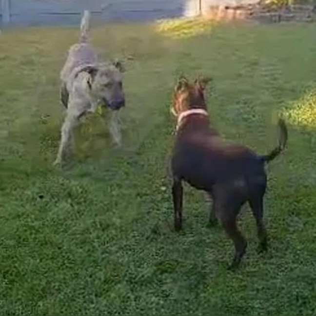 Photo of Wilma Fingerdoo