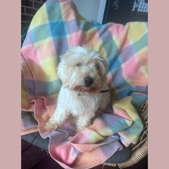 Photo of Holly