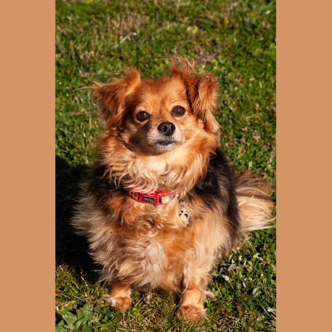 Photo of Lilly