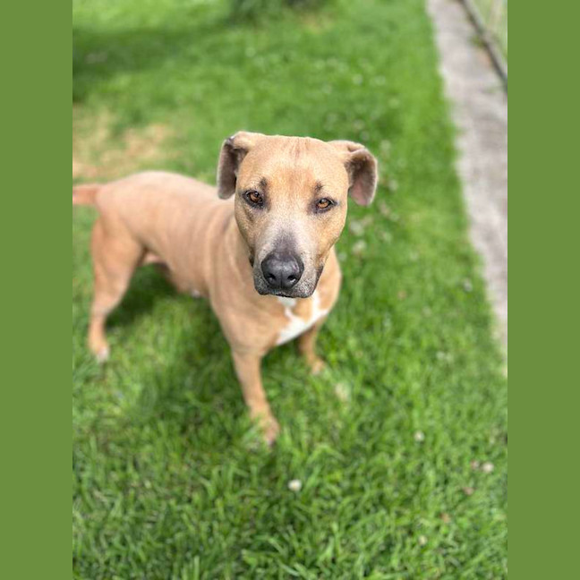 Photo of Lucy