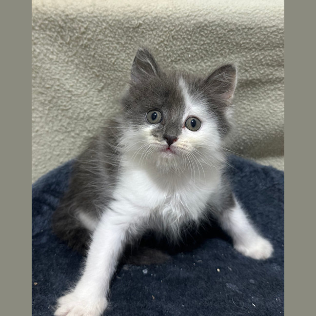 Photo of Maeve 