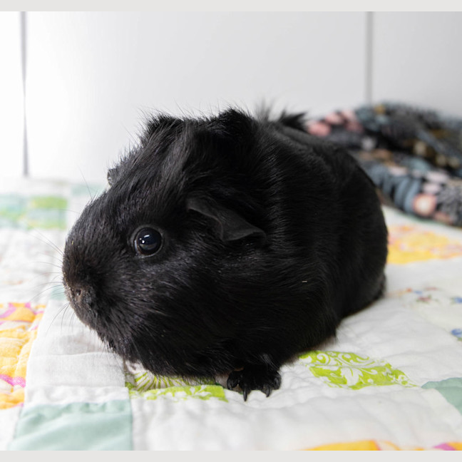Photo of Matilda