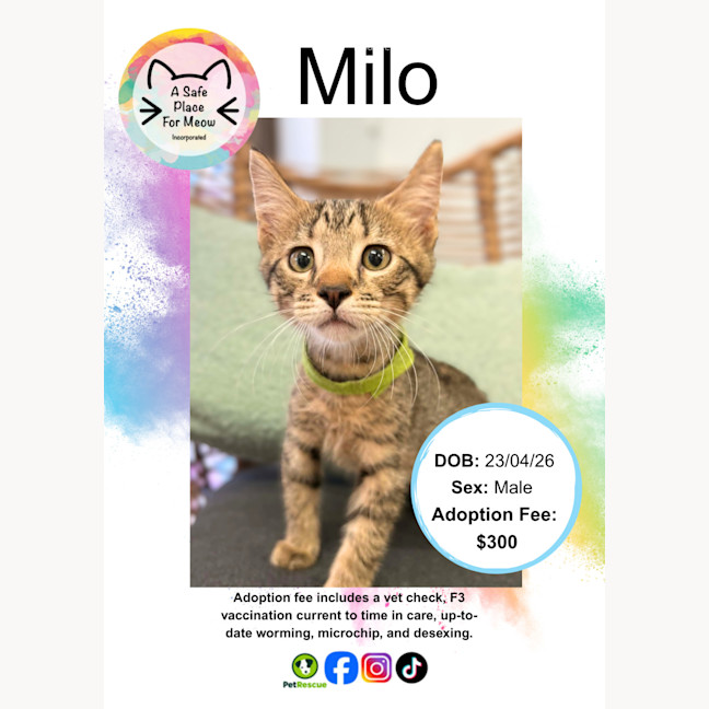 Photo of Milo