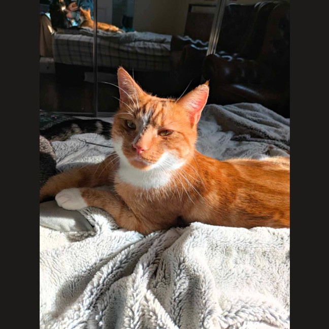 Photo of Tokyo & Miso 