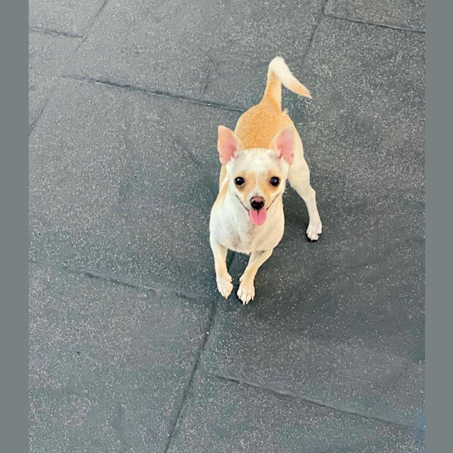 Photo of Holly Silvanus