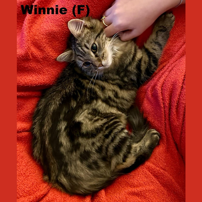 Photo of Winnie