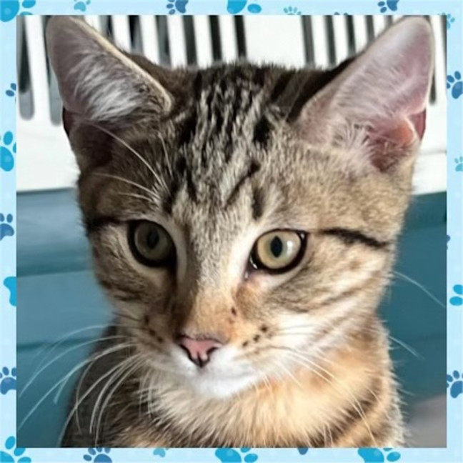 Photo of Jack