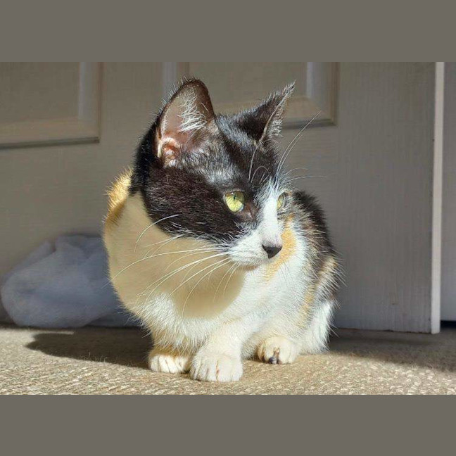 Photo of Monica