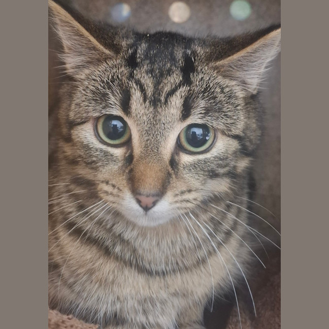 Photo of Lucy