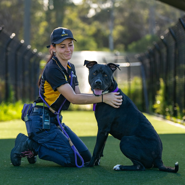 Photo of Caspian Imp 2883