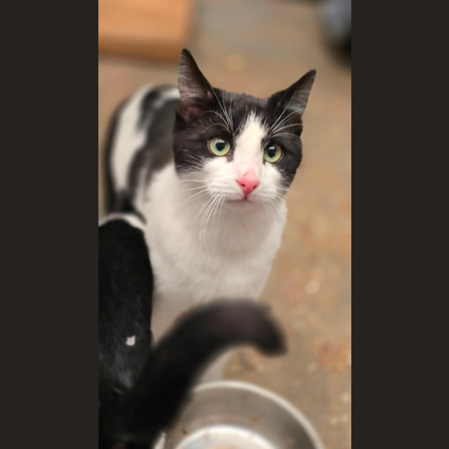 Photo of Jacko