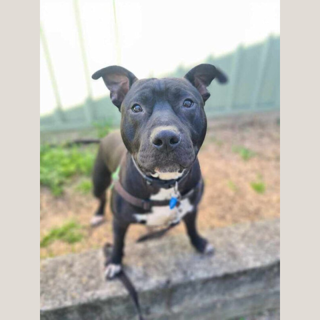 Photo of Peetie