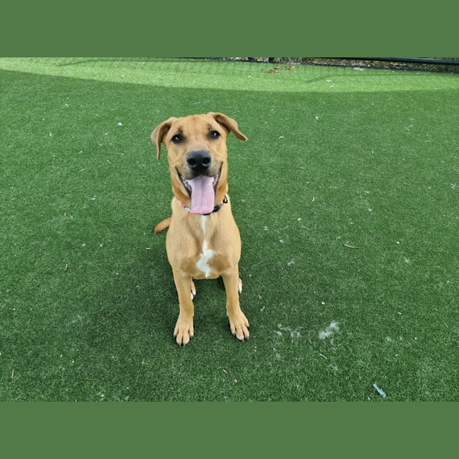 Photo of Xena Imp 2533