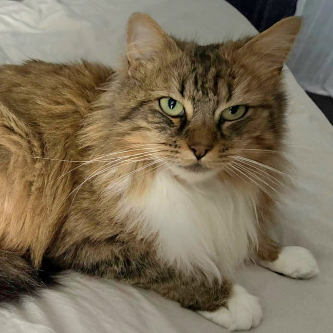 Photo of Daisy